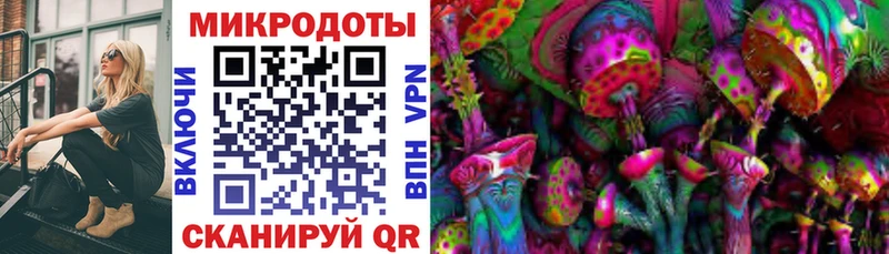 MEGA ССЫЛКА  Тайга  Галлюциногенные грибы Psilocybe 